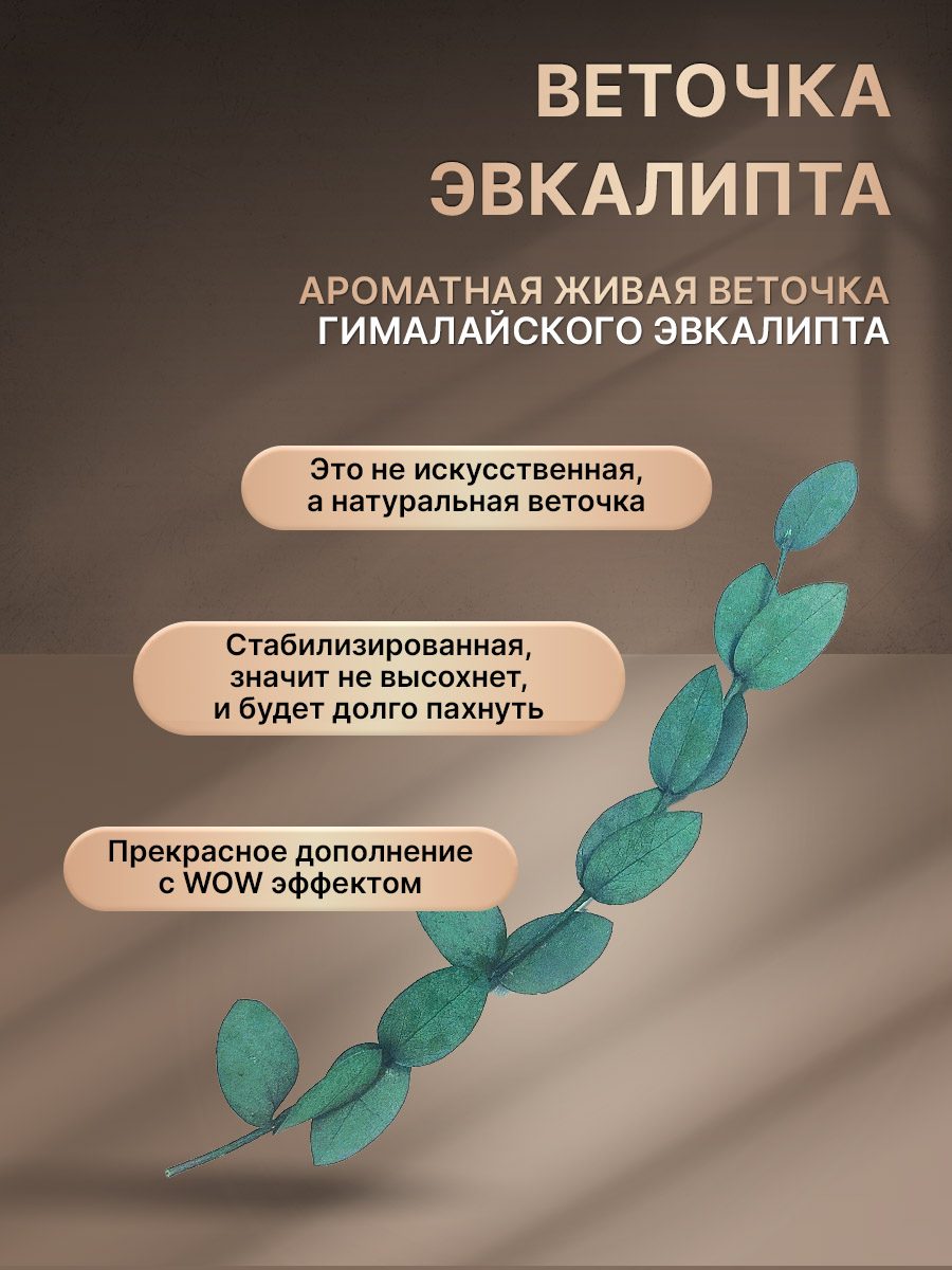 Веточка эвкалипта копия (1)